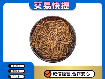 罗甸县回收散虫草